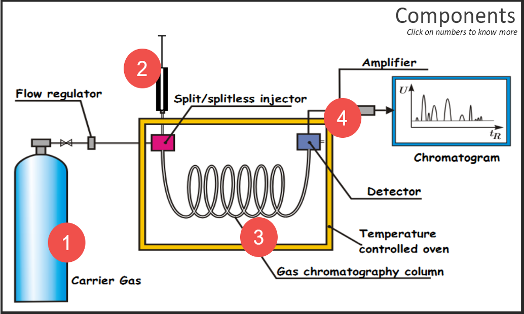 gas-chromatography-and-its-applications-crambridge-free-download-nude